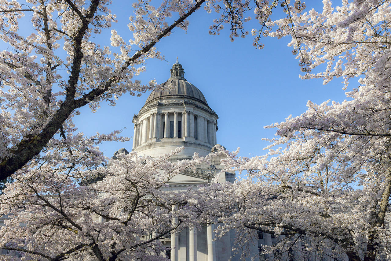 This Month in Advocacy: We are in the final weeks of the legislative session and are watching the progress of the March Revenue Forecast as well as Operational, Capitol and Transportation Budgets.