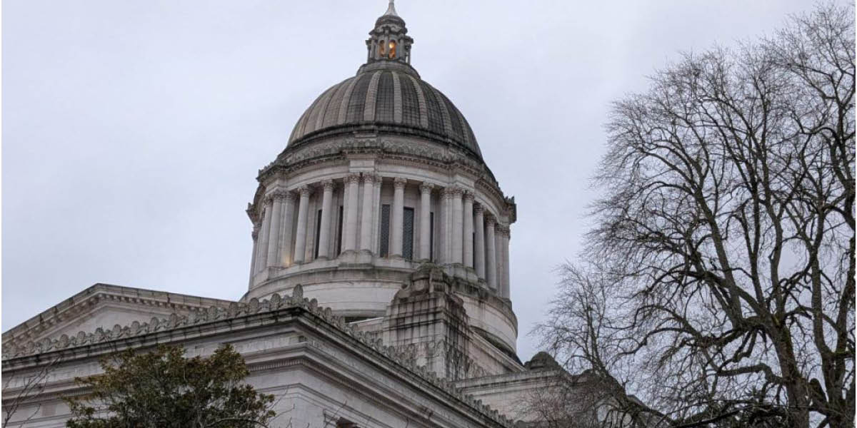 Olympia Capitol Done by Amy Sudberg