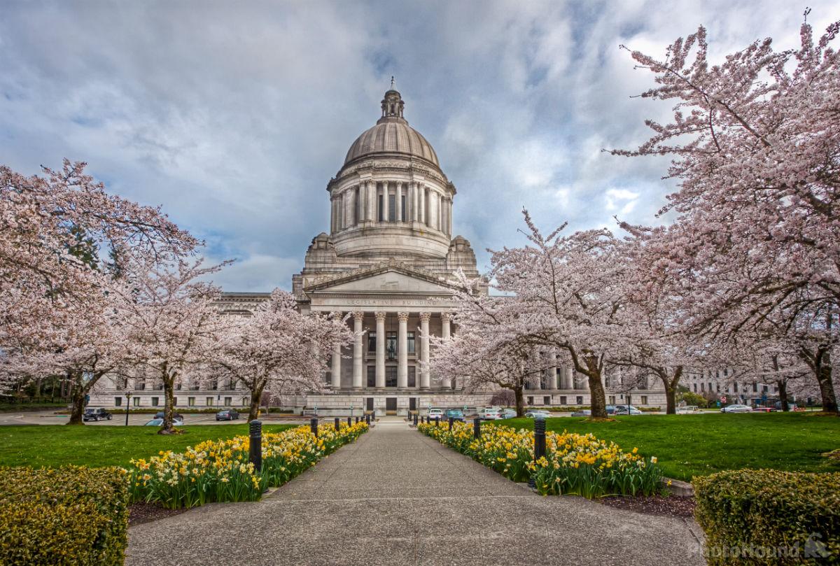 This Month in Advocacy: Washington's State Legislature is back in person; Housing bills are voted off the Floor; and the release of several proposed budgets and taxes.