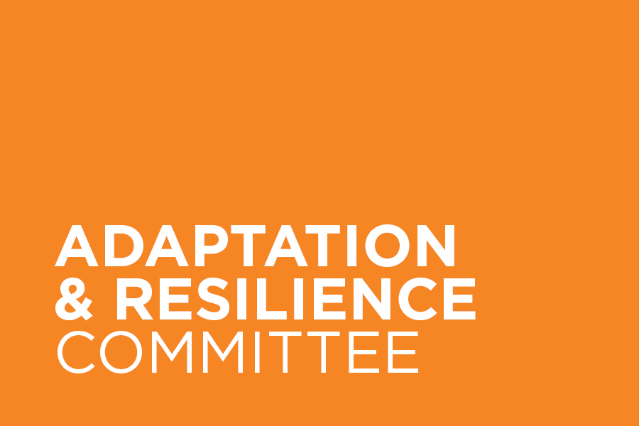 The Adaptation & Resilience Committee (formerly the Disaster Preparedness & Response Committee) informs and designs professional action in preparing for and responding to stressors and shocks that communities may face.