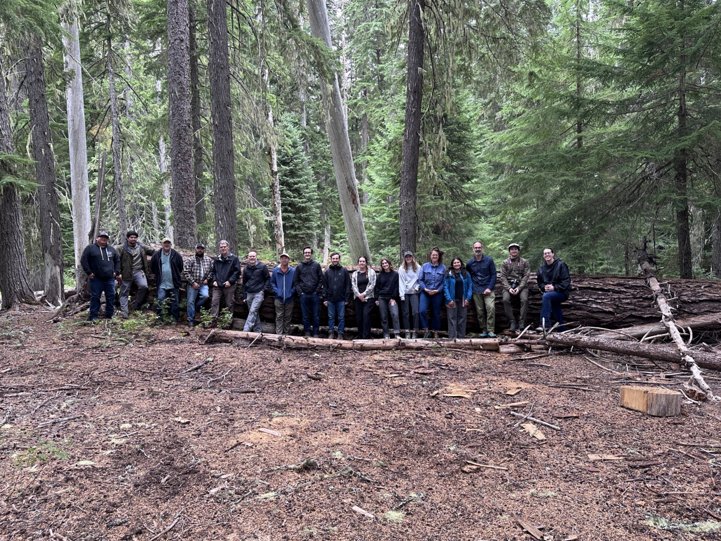 Join the Mass Timber Committee for an all day tour of Yakama forests near White Swan, WA. The tour will be led by Yakama Nation Tribal Forestry Staff.